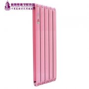 散热器十大品牌哪家好:使节能发挥到极致！