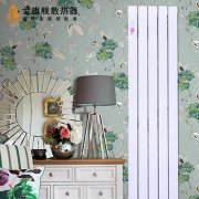 铜铝复合暖气片不热的处理方法有几种?